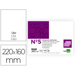 FICHAS LISA Nº5 160X220MM CARTULINA