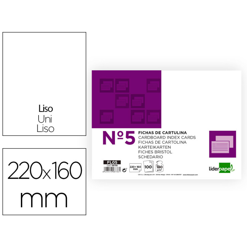 FICHAS LISA Nº5 160X220MM CARTULINA